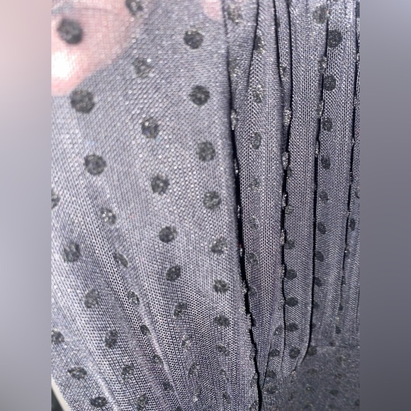 Cute Black Polkadot Sheer Dress from Forever 21 - Picture 3 of 3